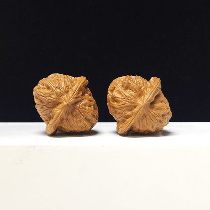 The "Little Pumpkin Block" Collector Pair | AA-Grade Collector Tier | 38.0mm x 40.0mm | SZ-AA-053629