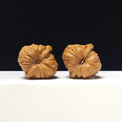 The "Little Pumpkin Block" Collector Pair | AA-Grade Collector Tier | 38.0mm x 40.0mm | SZ-AA-053629