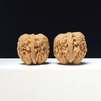 The "Men Dun Gate Pier" Collector Pair | A-Grade Collector Tier | 35.0mm x 39.0mm | MD-A-005624