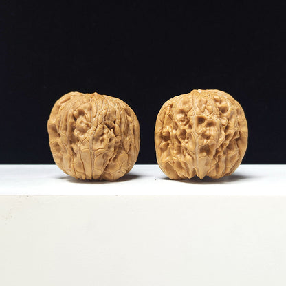 The "Men Dun Gate Pier" Collector Pair | A-Grade Collector Tier | 40.0mm x 43.0mm | MD-A-004623