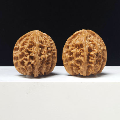 The "Apple Garden" Collector Pair | A-Grade Collector Tier | 38.0mm x 39.0mm | PGY-A-013696