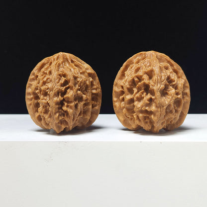 The "Apple Garden" Collector Pair | A-Grade Collector Tier | 38.0mm x 39.0mm | PGY-A-013696