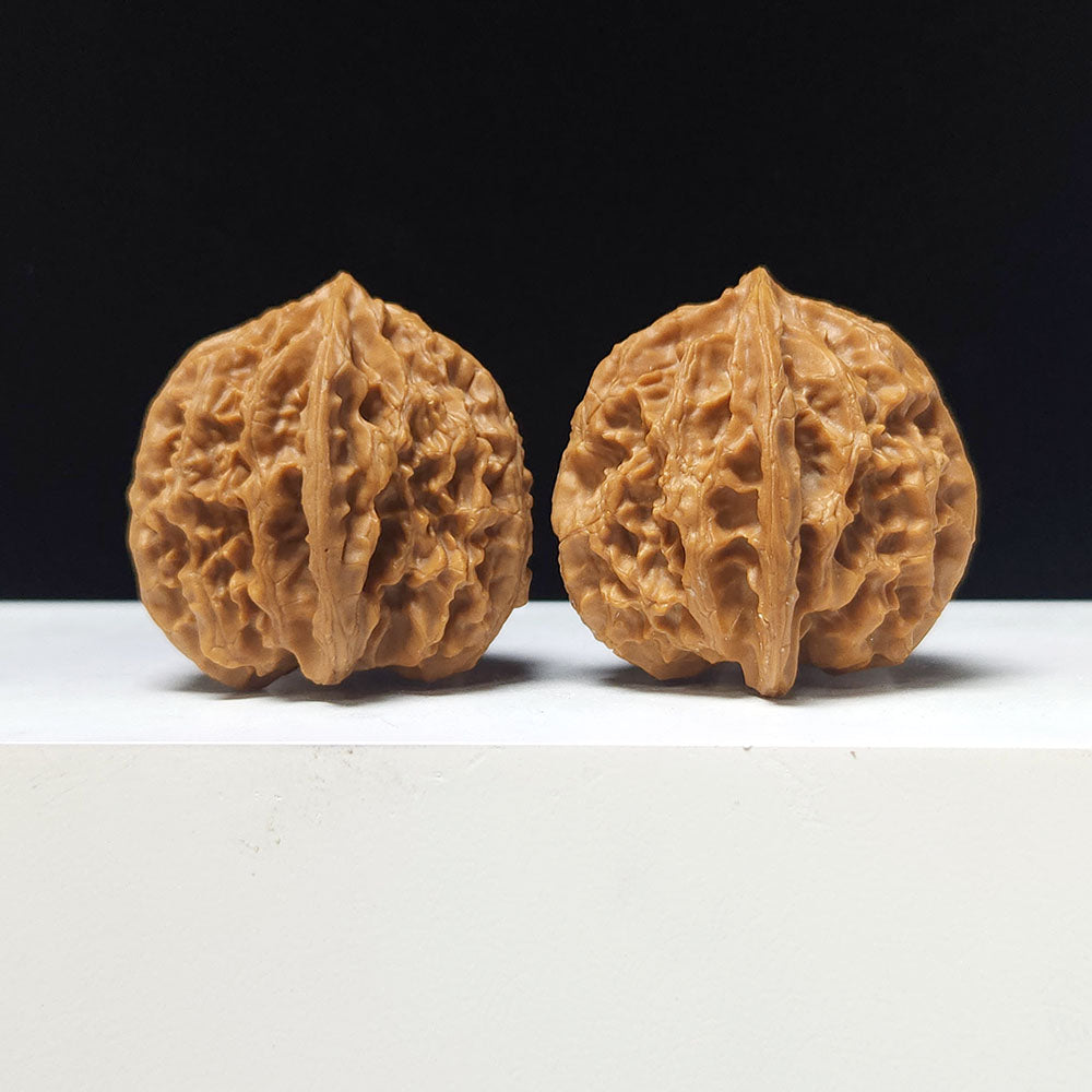 The "Apple Garden" Collector Pair | A-Grade Collector Tier | 38.0mm x 39.0mm | PGY-A-013696