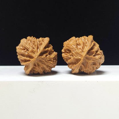 The "Apple Garden" Collector Pair | A-Grade Collector Tier | 38.0mm x 39.0mm | PGY-A-013696