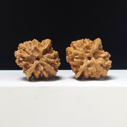 The "Apple Garden" Collector Pair | A-Grade Collector Tier | 38.0mm x 39.0mm | PGY-A-013696