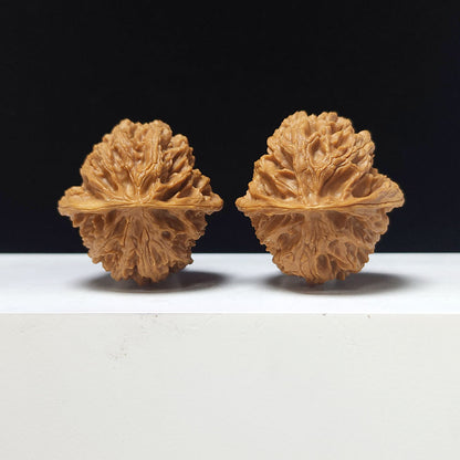The "Apple Garden" Collector Pair | A-Grade Collector Tier | 38.0mm x 39.0mm | PGY-A-013696