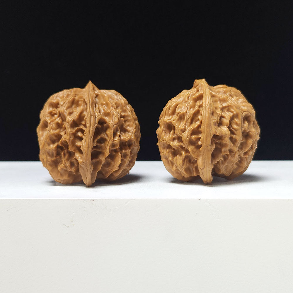 The "Apple Garden Heavenly Residual Foot" Collector Pair | A-Grade Collector Tier | 37.0mm x 37.0mm | PGY-A-014698