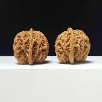 The "Apple Garden Heavenly Residual Foot" Collector Pair | A-Grade Collector Tier | 37.0mm x 37.0mm | PGY-A-014698