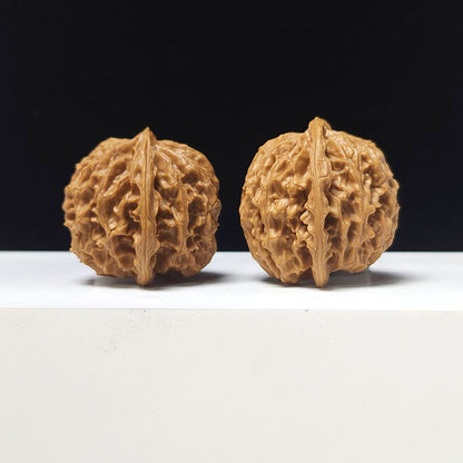 The "Apple Garden Heavenly Residual Foot" Collector Pair | A-Grade Collector Tier | 37.0mm x 37.0mm | PGY-A-014698