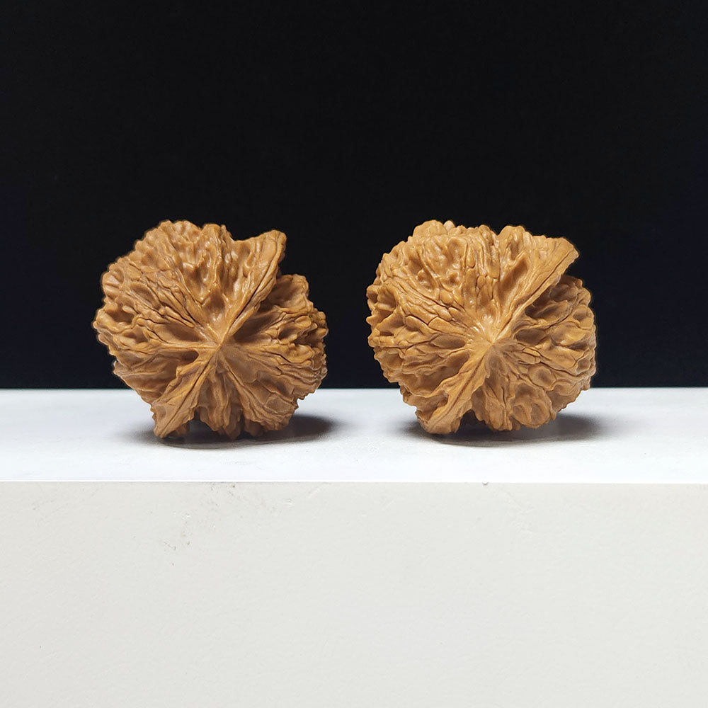 The "Apple Garden Heavenly Residual Foot" Collector Pair | A-Grade Collector Tier | 37.0mm x 37.0mm | PGY-A-014698