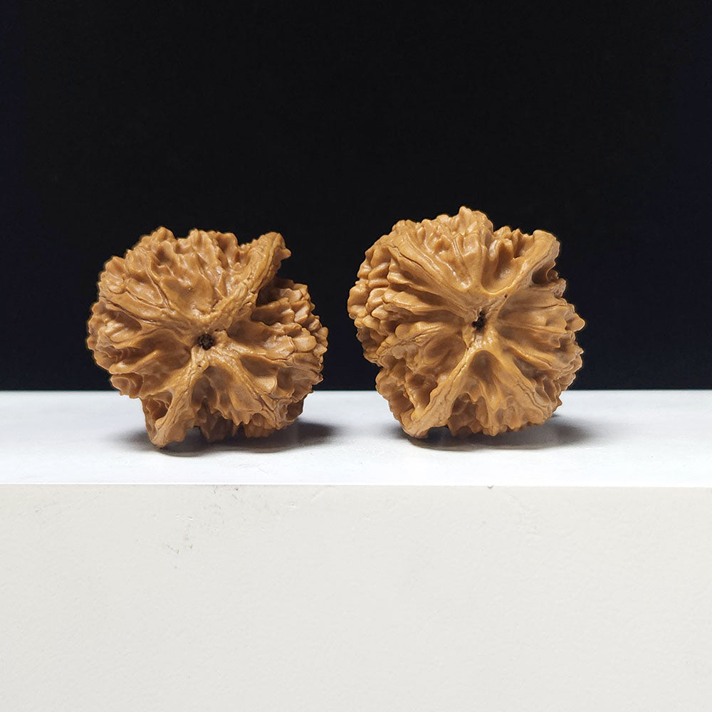 The "Apple Garden Heavenly Residual Foot" Collector Pair | A-Grade Collector Tier | 37.0mm x 37.0mm | PGY-A-014698