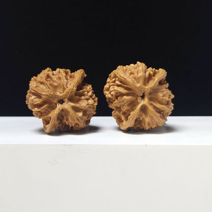 The "Apple Garden Heavenly Residual Foot" Collector Pair | A-Grade Collector Tier | 37.0mm x 37.0mm | PGY-A-014698