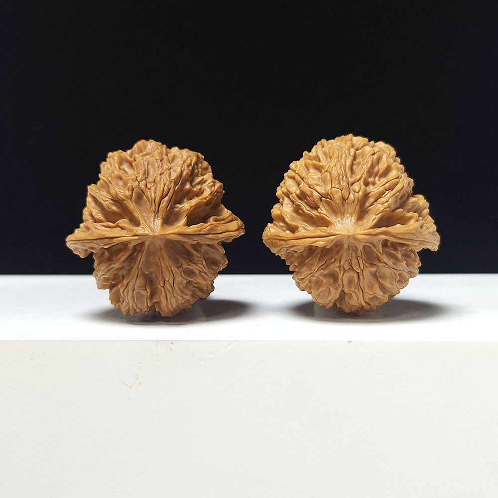 The "Apple Garden Heavenly Residual Foot" Collector Pair | A-Grade Collector Tier | 37.0mm x 37.0mm | PGY-A-014698