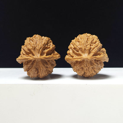 The "Apple Garden Heavenly Residual Foot" Collector Pair | A-Grade Collector Tier | 37.0mm x 37.0mm | PGY-A-014698