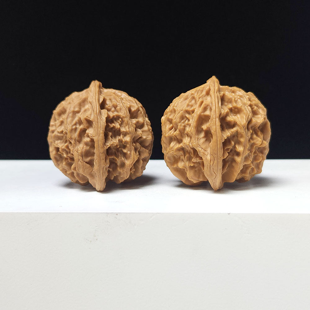 The "Apple Garden" Collector Pair | A-Grade Collector Tier | 38.0mm x 38.0mm | PGY-A-010693