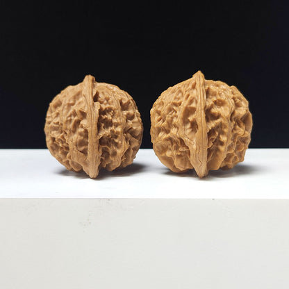 The "Apple Garden" Collector Pair | A-Grade Collector Tier | 38.0mm x 38.0mm | PGY-A-010693