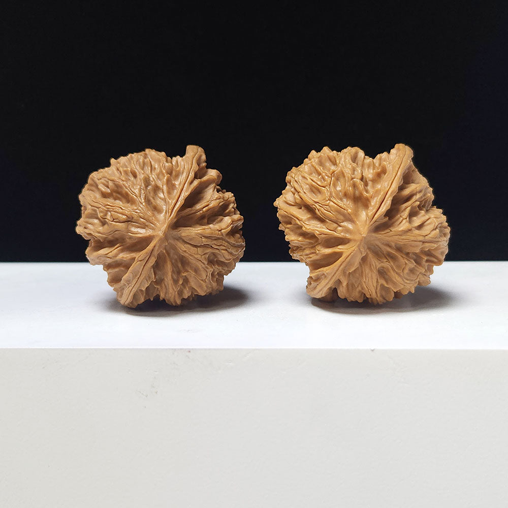 The "Apple Garden" Collector Pair | A-Grade Collector Tier | 38.0mm x 38.0mm | PGY-A-010693