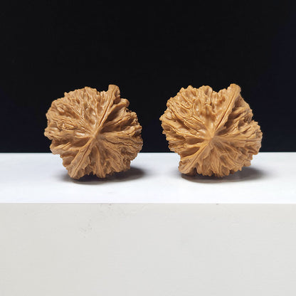 The "Apple Garden" Collector Pair | A-Grade Collector Tier | 38.0mm x 38.0mm | PGY-A-010693