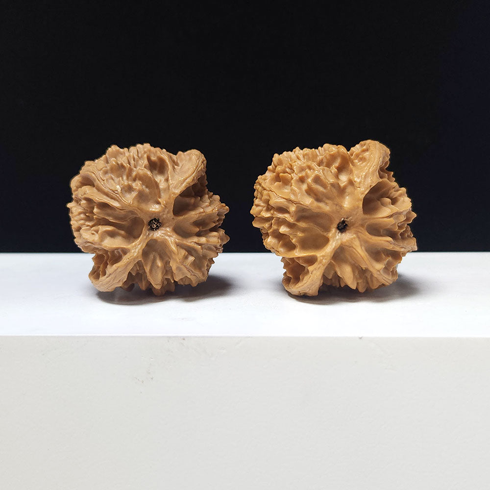 The "Apple Garden" Collector Pair | A-Grade Collector Tier | 38.0mm x 38.0mm | PGY-A-010693