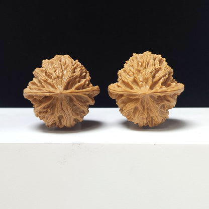 The "Apple Garden" Collector Pair | A-Grade Collector Tier | 38.0mm x 38.0mm | PGY-A-010693