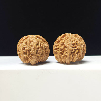 The "Apple Garden" Collector Pair | A-Grade Collector Tier | 37.0mm x 36.0mm | PGY-A-012695
