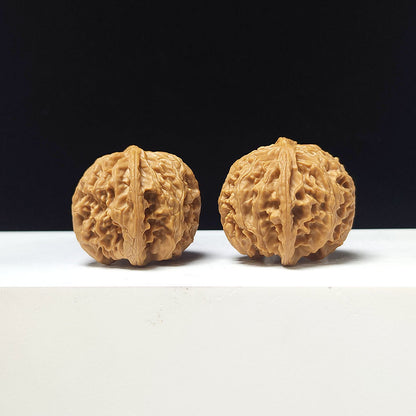 The "Apple Garden" Collector Pair | A-Grade Collector Tier | 37.0mm x 36.0mm | PGY-A-012695