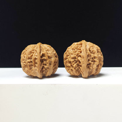 The "Apple Garden" Collector Pair | A-Grade Collector Tier | 37.0mm x 36.0mm | PGY-A-012695