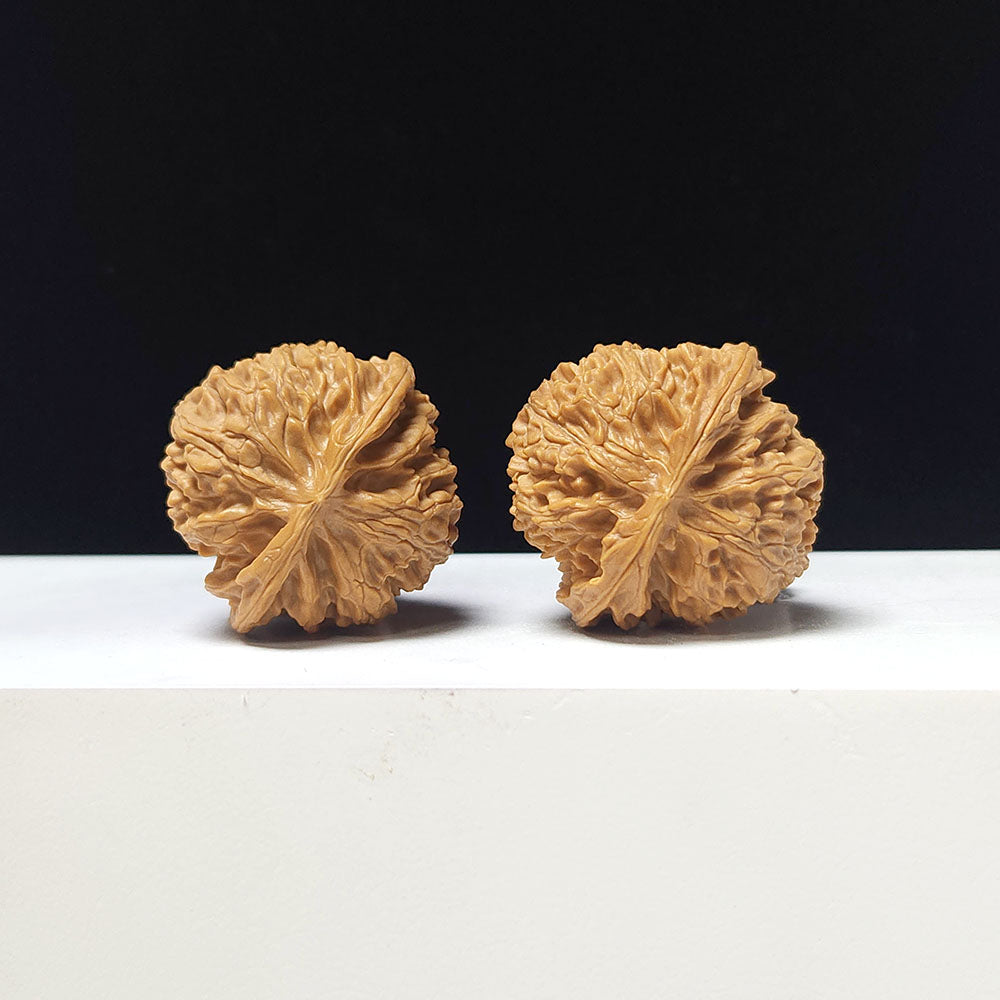 The "Apple Garden" Collector Pair | A-Grade Collector Tier | 37.0mm x 36.0mm | PGY-A-012695
