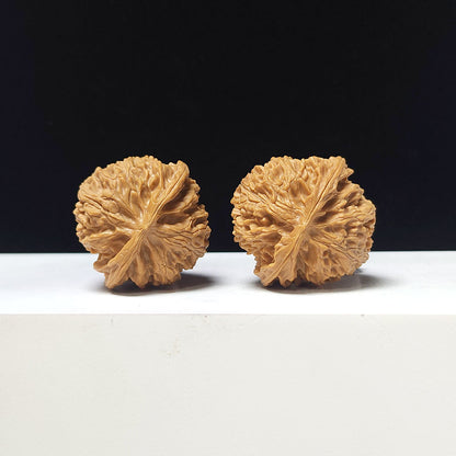 The "Apple Garden" Collector Pair | A-Grade Collector Tier | 37.0mm x 36.0mm | PGY-A-012695