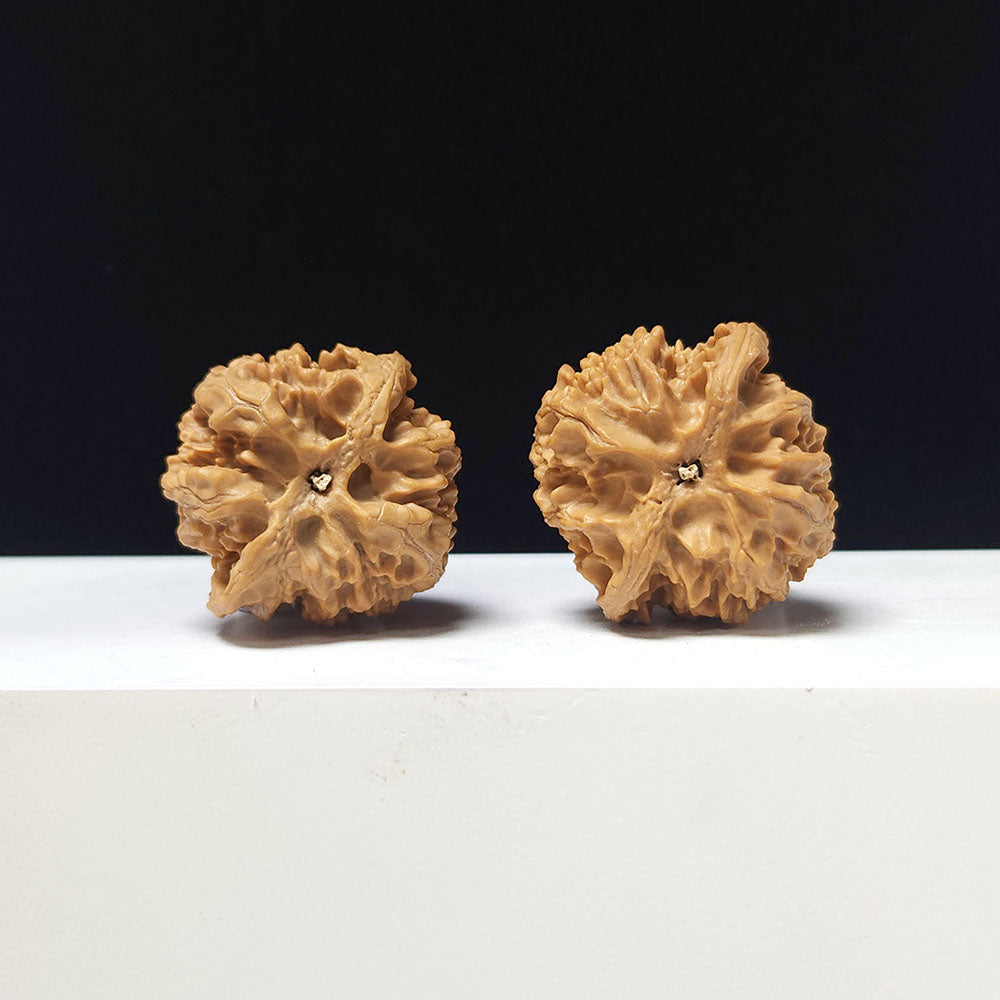 The "Apple Garden" Collector Pair | A-Grade Collector Tier | 37.0mm x 36.0mm | PGY-A-012695