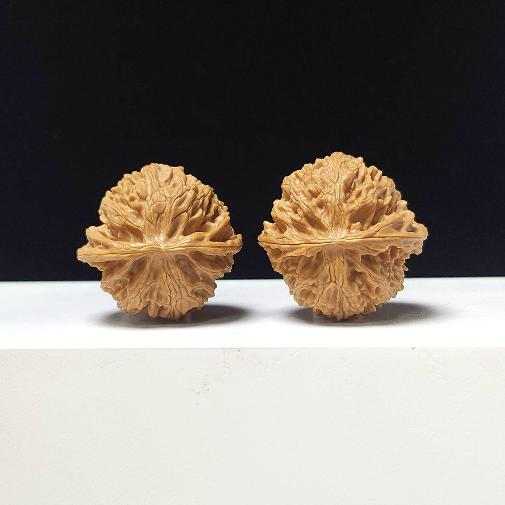 The "Apple Garden" Collector Pair | A-Grade Collector Tier | 37.0mm x 36.0mm | PGY-A-012695