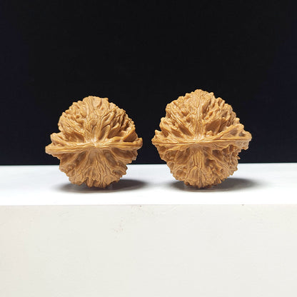 The "Apple Garden" Collector Pair | A-Grade Collector Tier | 37.0mm x 36.0mm | PGY-A-012695