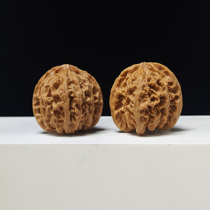 The "Apple Garden" Collector Pair | A-Grade Collector Tier | 38.0mm x 38.0mm | PGY-A-008691