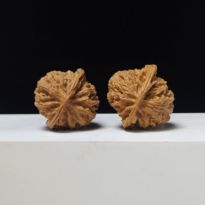 The "Apple Garden" Collector Pair | A-Grade Collector Tier | 38.0mm x 38.0mm | PGY-A-008691