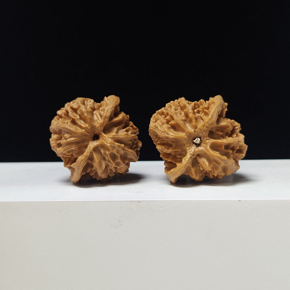 The "Apple Garden" Collector Pair | A-Grade Collector Tier | 38.0mm x 38.0mm | PGY-A-008691