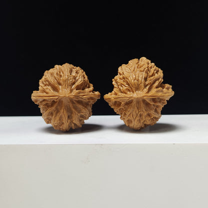 The "Apple Garden" Collector Pair | A-Grade Collector Tier | 38.0mm x 38.0mm | PGY-A-008691