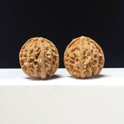 The "Apple Garden" Collector Pair | A-Grade Collector Tier | 35.0mm x 35.0mm | PGY-A-009692