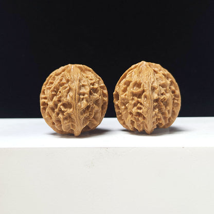 The "Apple Garden" Collector Pair | A-Grade Collector Tier | 35.0mm x 35.0mm | PGY-A-009692