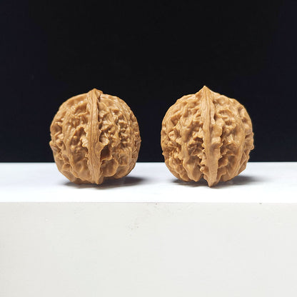The "Apple Garden" Collector Pair | A-Grade Collector Tier | 35.0mm x 35.0mm | PGY-A-009692