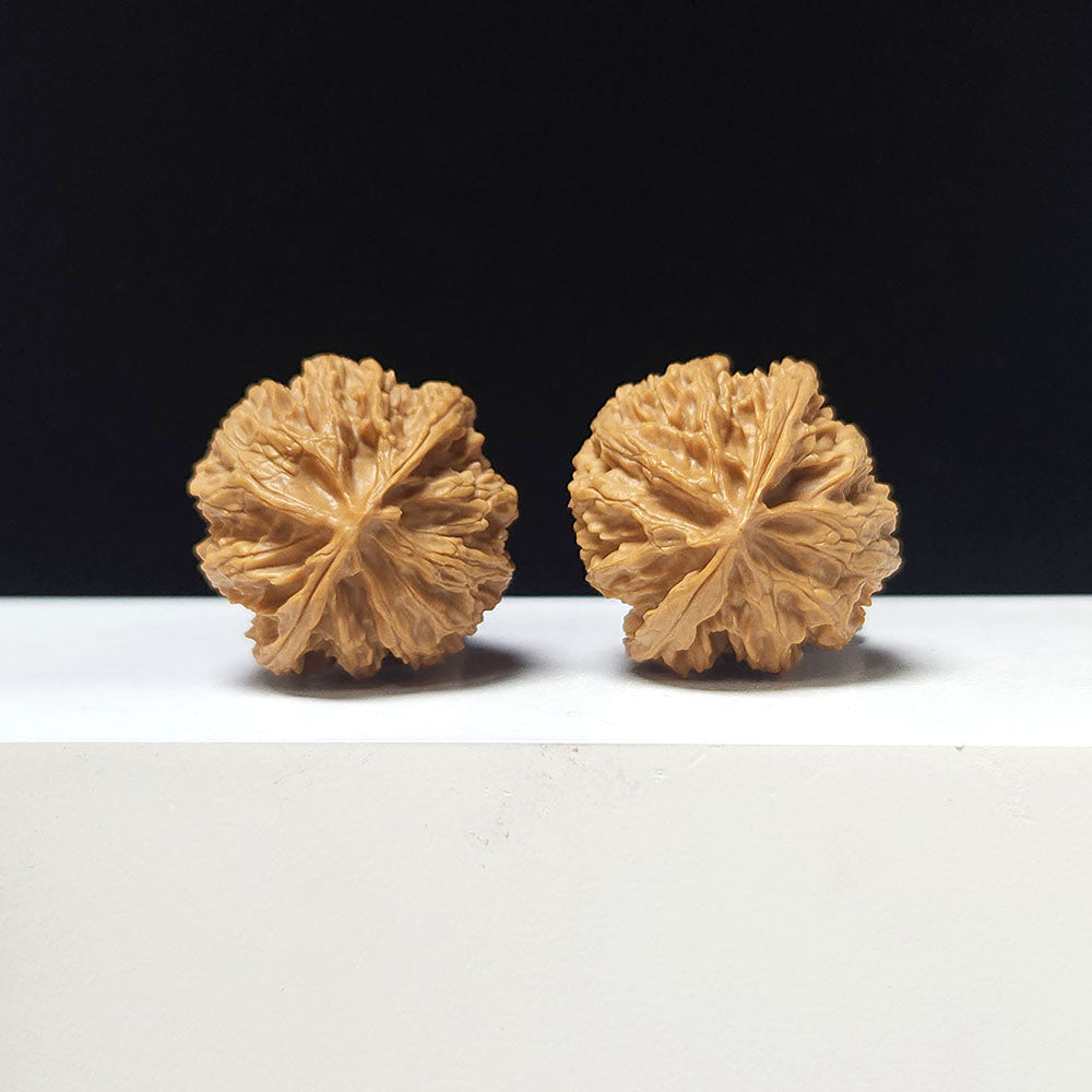 The "Apple Garden" Collector Pair | A-Grade Collector Tier | 35.0mm x 35.0mm | PGY-A-009692