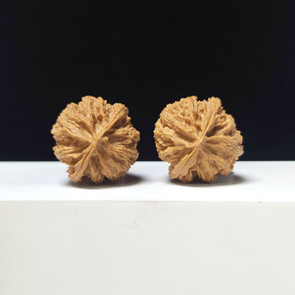 The "Apple Garden" Collector Pair | A-Grade Collector Tier | 35.0mm x 35.0mm | PGY-A-009692