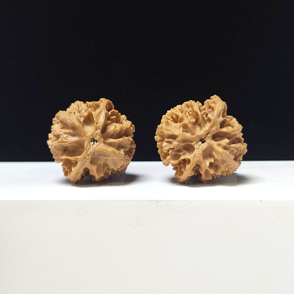 The "Apple Garden" Collector Pair | A-Grade Collector Tier | 35.0mm x 35.0mm | PGY-A-009692