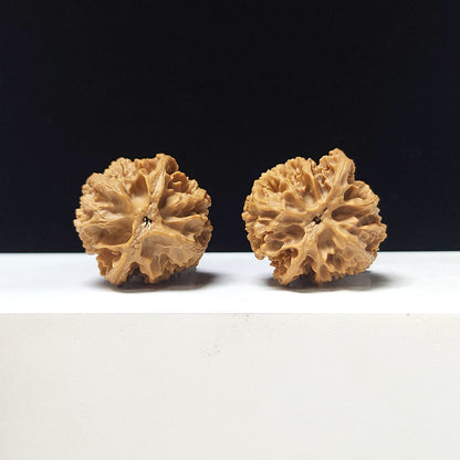 The "Apple Garden" Collector Pair | A-Grade Collector Tier | 35.0mm x 35.0mm | PGY-A-009692