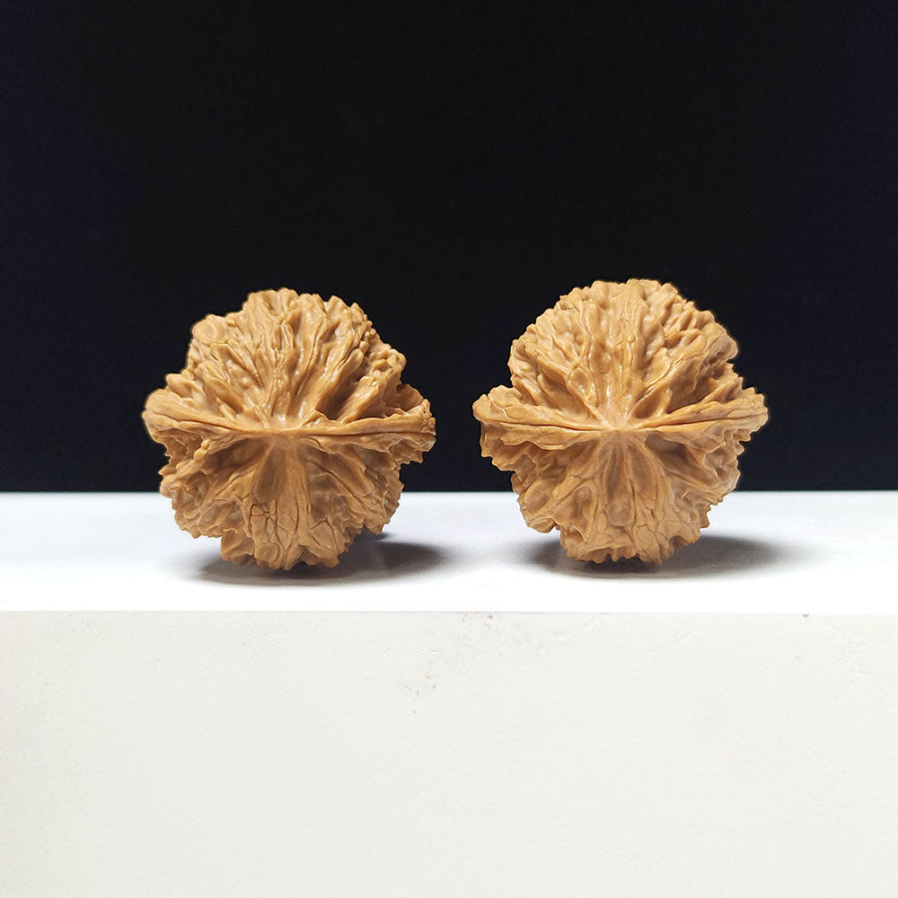 The "Apple Garden" Collector Pair | A-Grade Collector Tier | 35.0mm x 35.0mm | PGY-A-009692