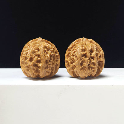 The "Apple Garden Hand-Twister" Collector Pair | AA-Grade Collector Tier | 36.0mm x 36.0mm | PGY-AA-006690