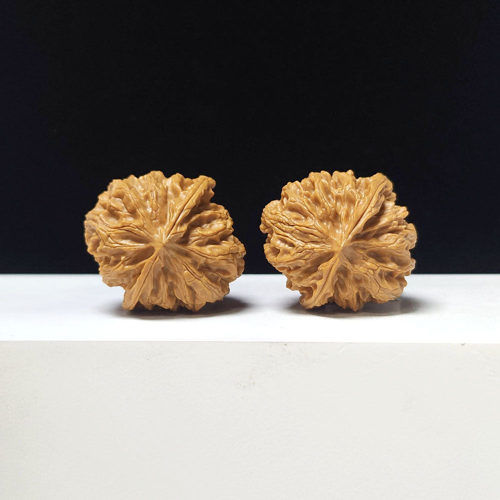 The "Apple Garden Hand-Twister" Collector Pair | AA-Grade Collector Tier | 36.0mm x 36.0mm | PGY-AA-006690