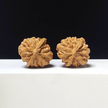 The "Apple Garden Hand-Twister" Collector Pair | AA-Grade Collector Tier | 36.0mm x 36.0mm | PGY-AA-006690