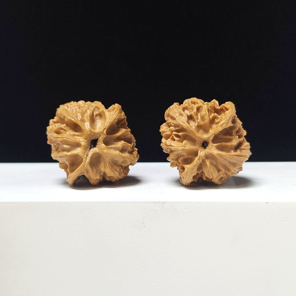 The "Apple Garden Hand-Twister" Collector Pair | AA-Grade Collector Tier | 36.0mm x 36.0mm | PGY-AA-006690