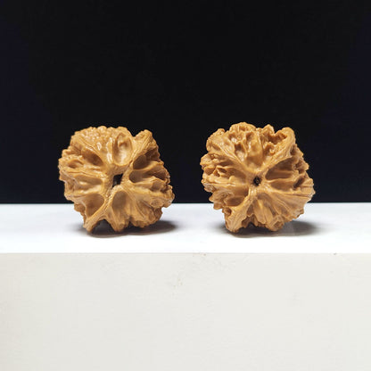 The "Apple Garden Hand-Twister" Collector Pair | AA-Grade Collector Tier | 36.0mm x 36.0mm | PGY-AA-006690