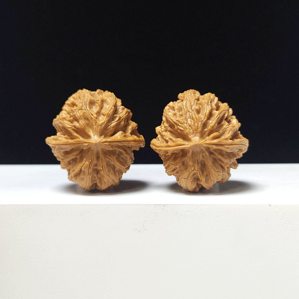The "Apple Garden Hand-Twister" Collector Pair | AA-Grade Collector Tier | 36.0mm x 36.0mm | PGY-AA-006690